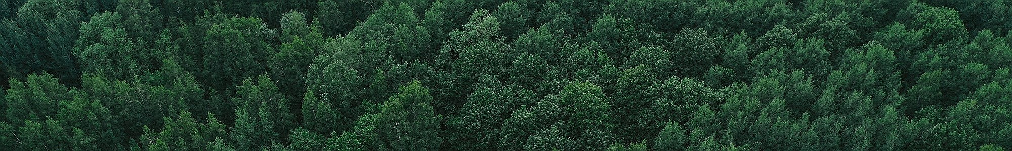 Sustainability means to manufacture products in line with the highest standards of construction.