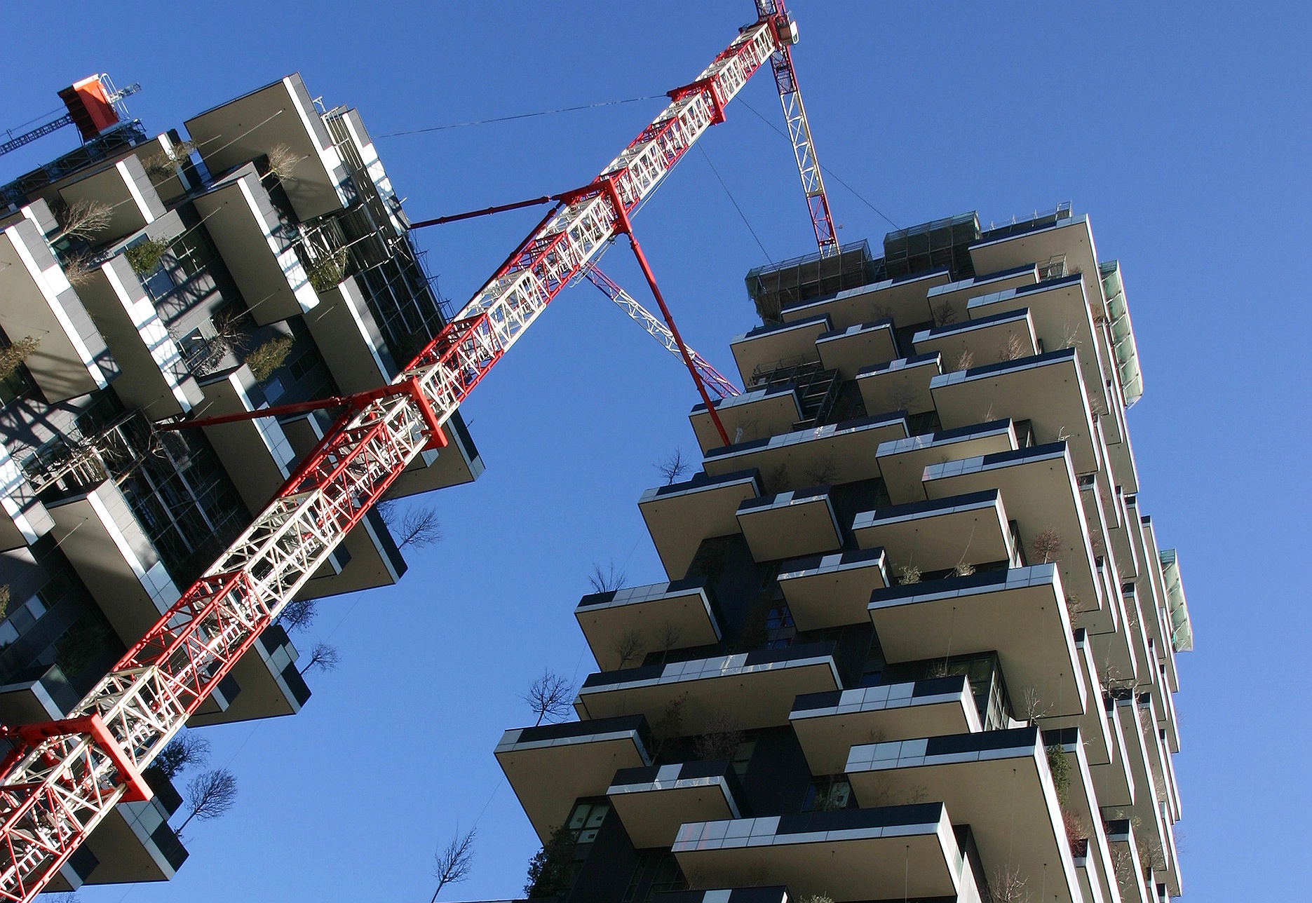 Bosco verticale milano 1