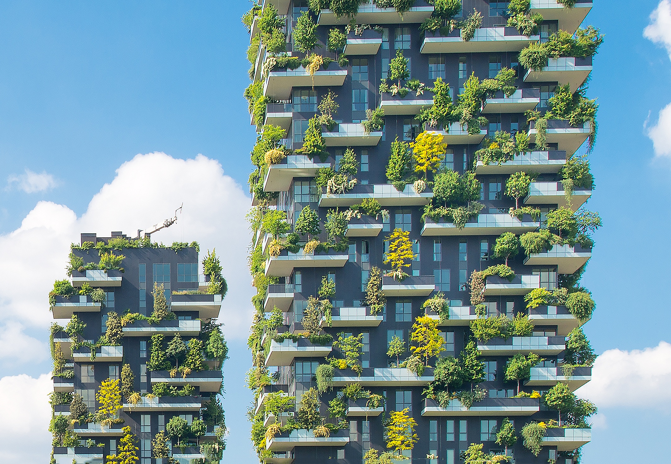 milano-bosco-verticale